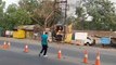 एबी रोड स्थित डिपो के पास सड़क किनारे लगी विद्युत मंडल की एक डीपी में लगी आग