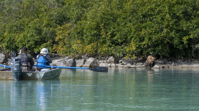 Alaska Will Give Tourists Free COVID-19 Vaccines This Summer