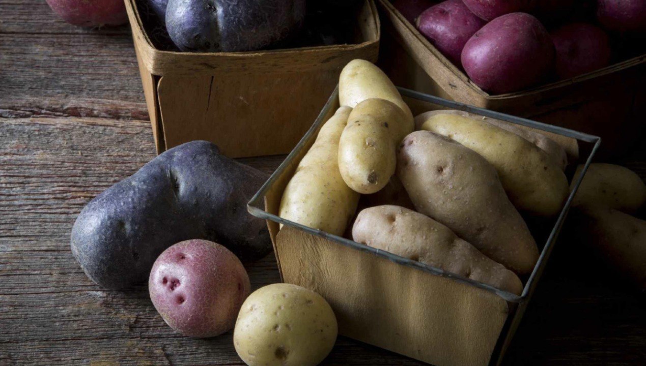 Are Potatoes Healthy?