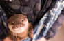 Otters at Georgia Aquarium Test Positive for COVID-19