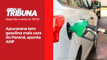 Apucarana tem gasolina mais cara do Paraná, aponta ANP