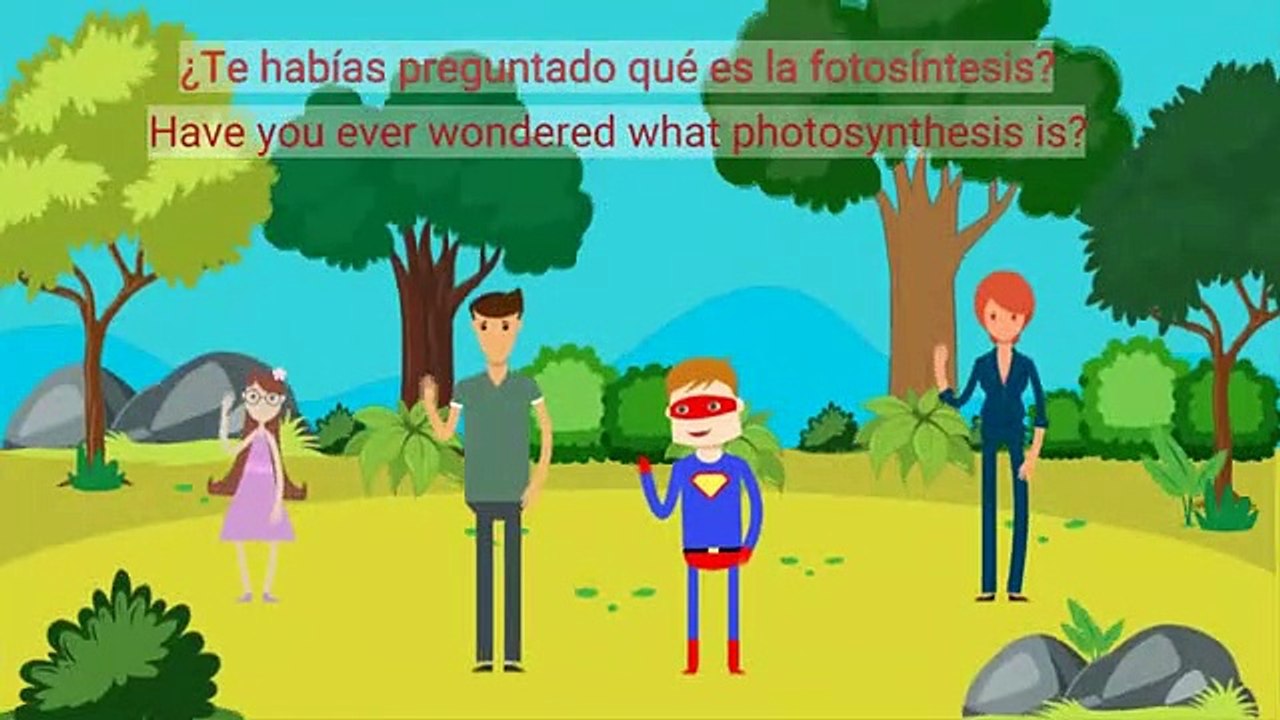 ¿Qué es la fotosíntesis?