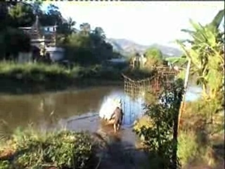 Grisly Wildlife Trade Exposed -- National Geographic