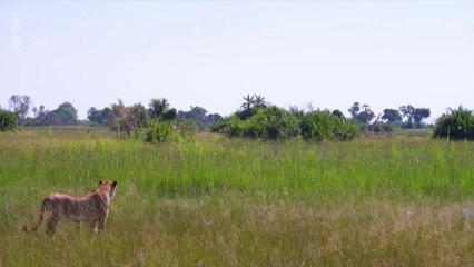 3 - Le delta de l'Okavango