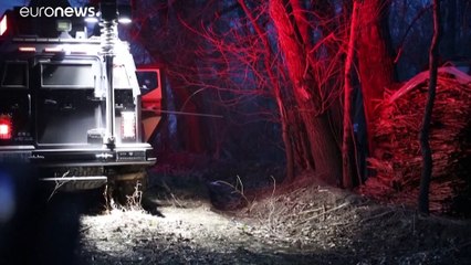 شاهد: نمر سيبيري يهاجم سيارة ويثير الرعب في الصين