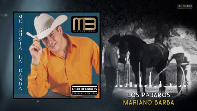 Mariano Barba - Los Pájaros (VideoLyrics)