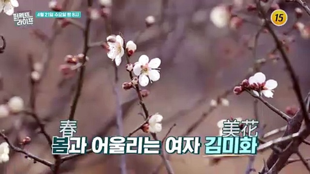 미화의 행복한 하루 함께 하실래요?_퍼펙트 라이프 43회 예고 TV CHOSUN 21...