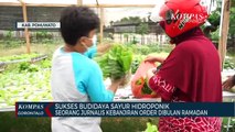 Sukses Budidaya Sayur Hidroponik, Seorang Jurnalis Kebanjiran Order Di Bulan Ramadan