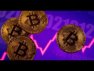 Bitcoin slumps 14% as pullback from record gathers pace | Moon TV News