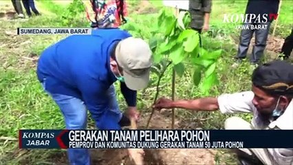 下载视频: Gerakan Tanam dan Pelihara Pohon