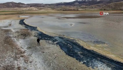 Görüntüsüyle korkutmuştu, eski güzelliğine kavuştu