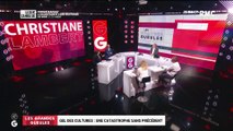 Le Grand Oral de Christiane Lambert, présidente de la FNSEA - 20/04