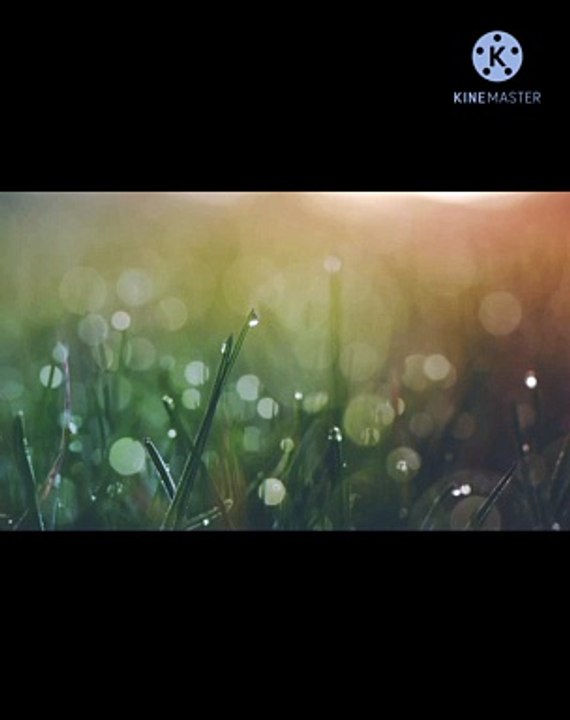 songs_1080p