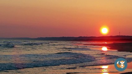 Méditation, bain sonore de cristal purifiant