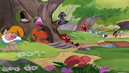 Woody Woodpecker Classic | Dines Out | Woody Woodpecker Full Episode | Videos For Kids