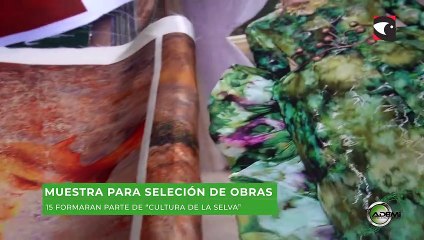 Cultura de la Selva expone en Posadas