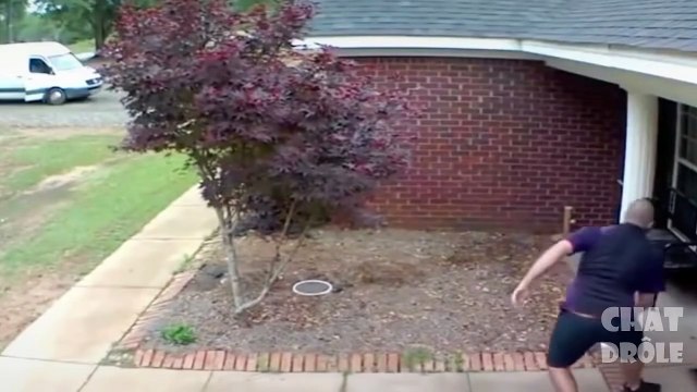 Essayer De Ne Pas Rire ✪ Vidéo De Chat À Mourir De Rire #183