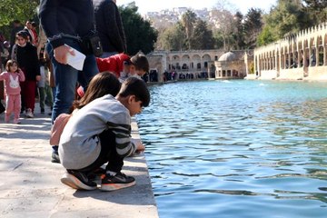 Son dakika haber... Şanlıurfa'da nüfusunun yarısına yakını çocuk