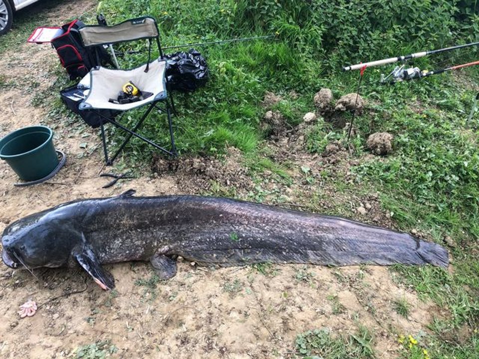 Belle prise dans l'Adour pour trois copains landais