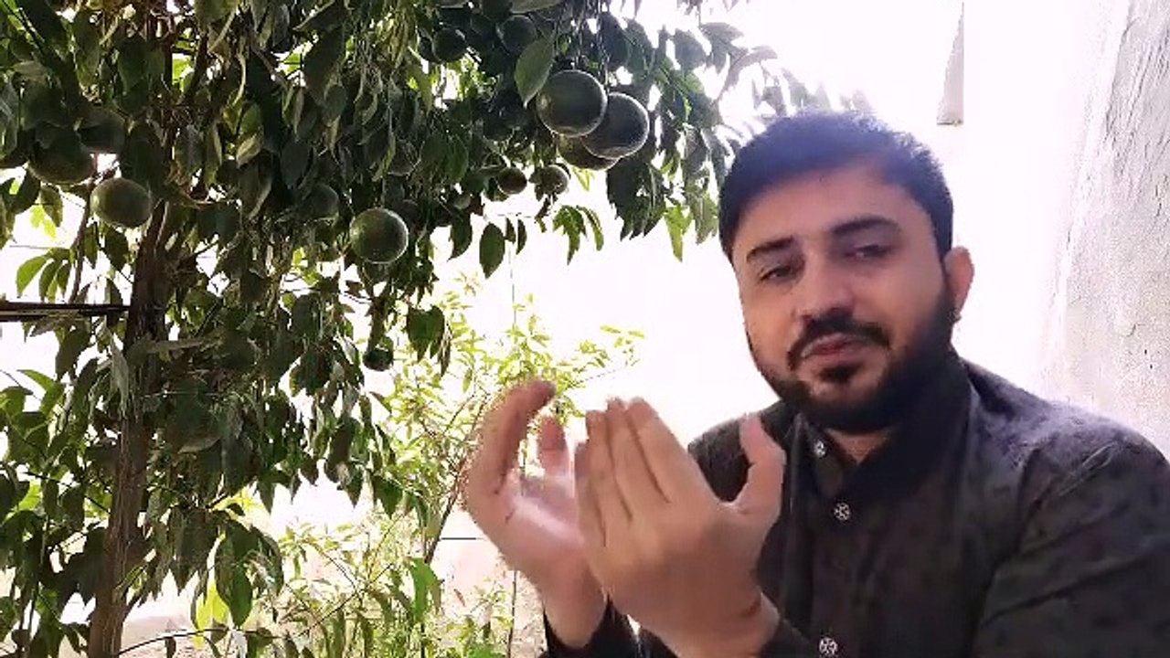 Dr Farooq Buzdar, Dr Farooq Buzdar Motivational Video, Dr Farooq Buzdar Inspirational Video, Best Motivational Speaker in Pakistan, Best Motivational Speaker in India, Best Corporate Traier in Pakistan, Best Corporate Trainer in india, Educational system,