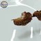 Chicken Sesame Sticks Recipe | Ramadan Recipes 2021| Chicken Sticks | Sesame Sticks By Desi Cook