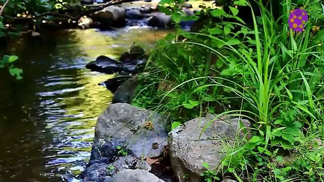 15 Minute Meditation Music | Self-love | Peaceful | Soothing | Relaxing | Being in present moment | Focus | Calming Down | Self-Esteem | Stress-Relief