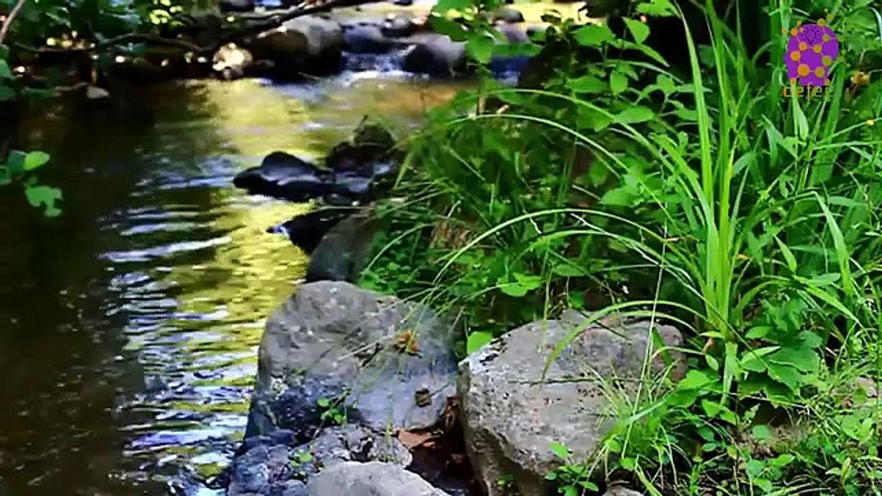 15 Minute Meditation Music | Self-love | Peaceful | Soothing | Relaxing | Being in present moment | Focus | Calming Down | Self-Esteem | Stress-Relief