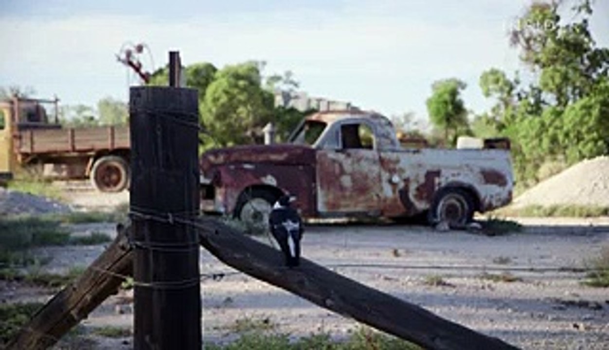 Why Australian black opal is one of the most expensive gemstones in the world