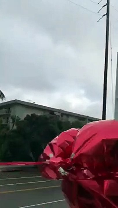 Elle lache des ballons gonflés à l'hélium mais ne s'attendait pas à ça