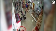 Câmeras de segurança de padaria flagram cão levando pacote de pão em Marilândia