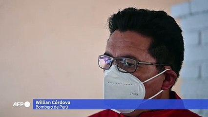 El Salvador entrena perros para detectar covid-19 en aeropuerto
