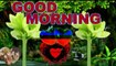 Good morning love status | good morning wishes | morning song | morning video | morning status | messages | photos