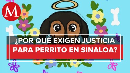 ¡Justicia para Rodolfo Corazón! Acusan a hombre de matar a perrito en Sinaloa