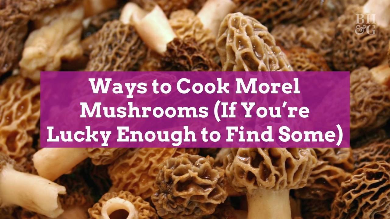 Ways to Cook Morel Mushrooms (If You're Lucky Enough to Find Some)