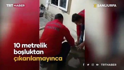 İki bina arasındaki boşluğa düşen köpek kurtarıldı