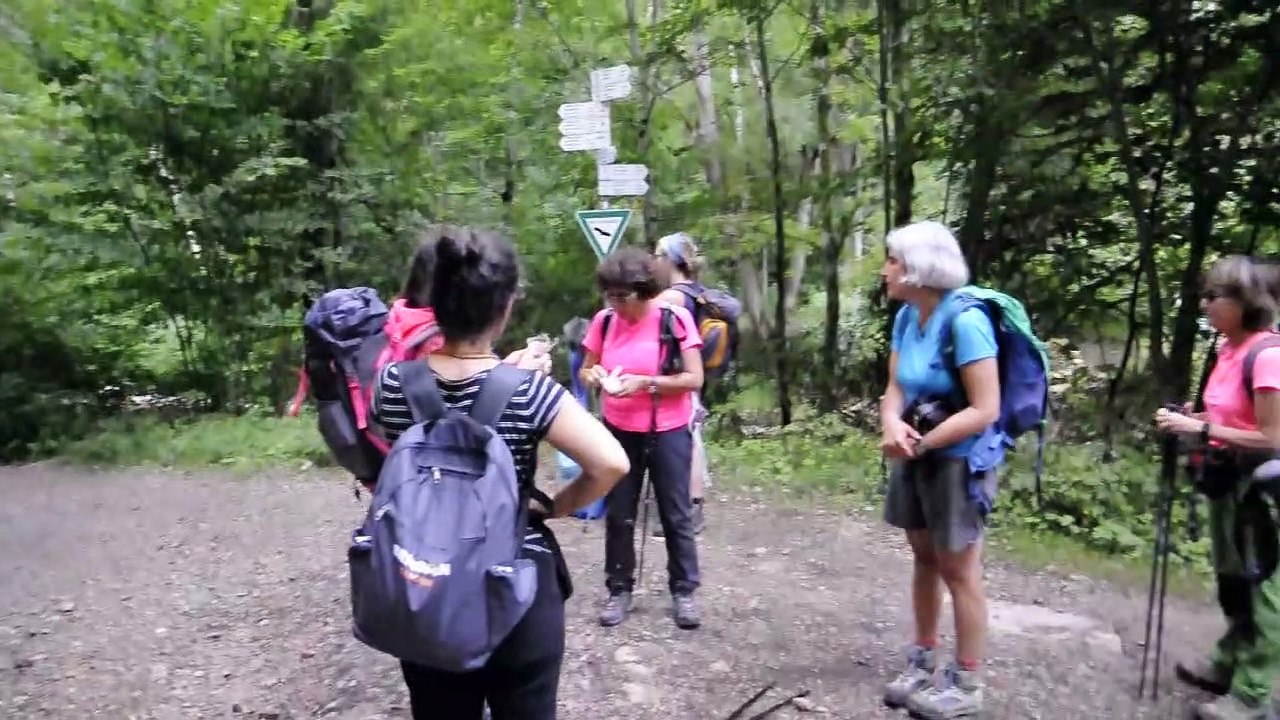MART.13-8-19- TERZO GIORNO DI ESCURSIONI DEL VIAGGIO IN FORESTA NERA GERMANIA.