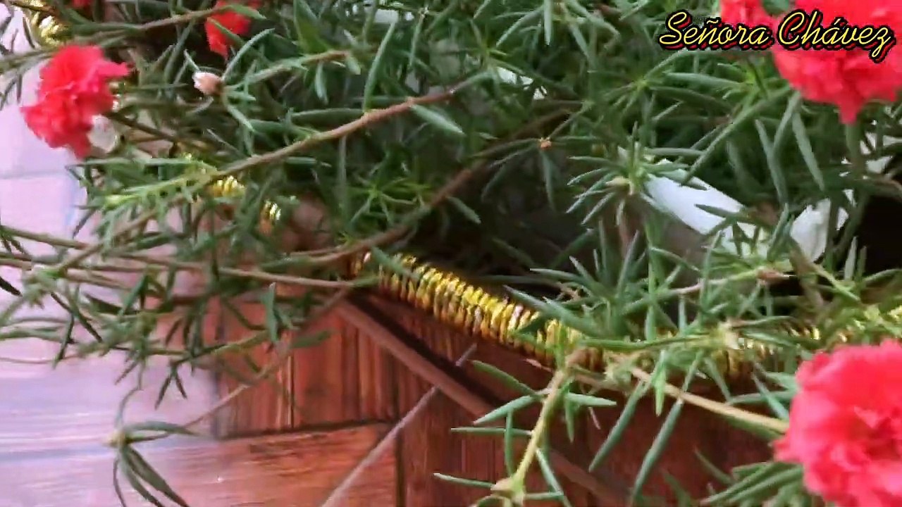 Diy Bird Feeder + Nectar | How To Make?