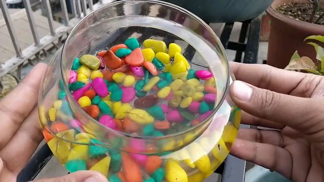 Chinese Mukbang: Asmr Eating Sounds (Pork Belly, Bamboo, Udon, Ramen, Black Bean Noodles)먹방#189