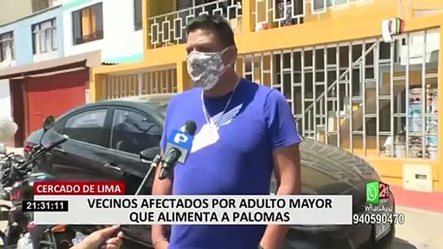 Cercado de Lima: adulto mayor alimenta a decenas de palomas y perjudica a vecinos
