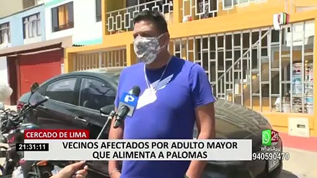 Cercado de Lima: adulto mayor alimenta a decenas de palomas y perjudica a vecinos