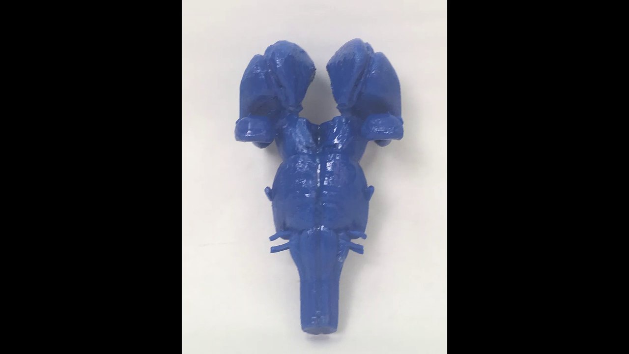 347Hz Amygdala