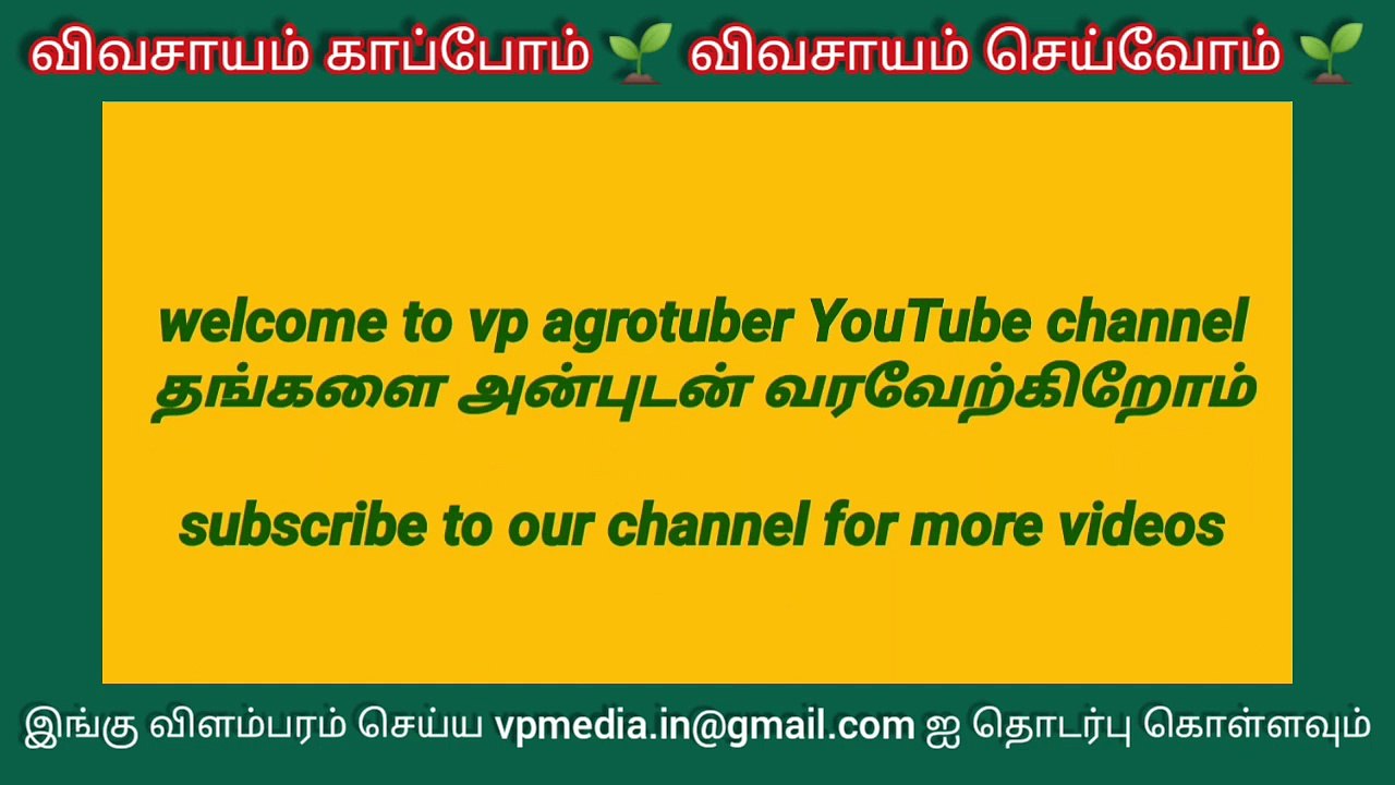 20-04-2021 ஈரோடு மஞ்சள் விலை நிலவரம் | 20-04-2021 Erode turmeric market price today #vpmedia #erode