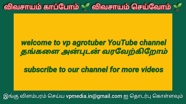 20-04-2021 ஈரோடு மஞ்சள் விலை நிலவரம் | 20-04-2021 Erode turmeric market price today #vpmedia #erode