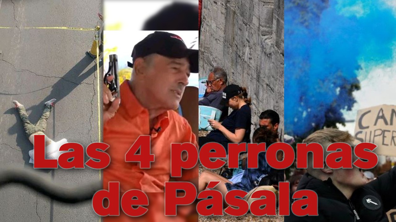 ¡AQUÍ ESTÁN LAS CUATRO PERRONAS DE PÁSALA!