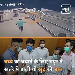 Railway Employee Mayur Shelke Who Saved A Child Honoured With Standing Ovation