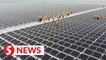 Thailand builds a massive floating hydro-solar farm