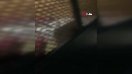 Avcılar'da kısıtlama saatinde sosyal mesafeye uymayan 14 kişiye ceza