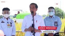 Jokowi: Pemerintah Sebetulnya Tidak Suka yang Namanya Impor Beras!