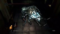 Dark Souls: Soldat Carcasse [23] Rebrousser chemin comme une poule mouillée