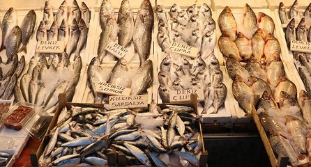 Av yasağıyla birlikte balıkta fiyatlar artmadı düştü